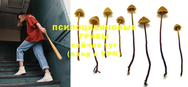 хмурый Алексеевка