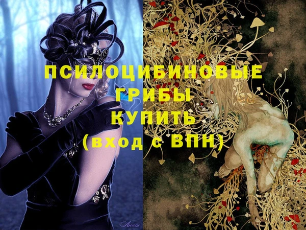 хмурый Алексеевка