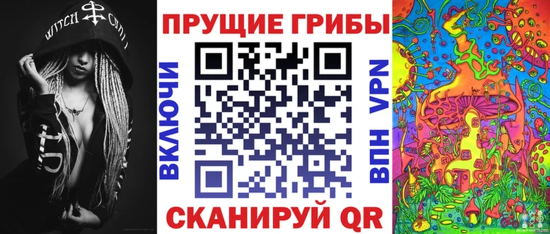 Псилоцибиновые грибы Psilocybine cubensis  Арамиль 